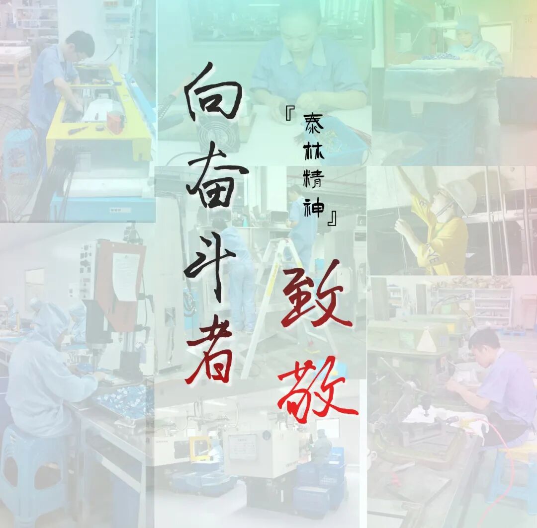 1768960922958995xoM2.jpg 1.jpg