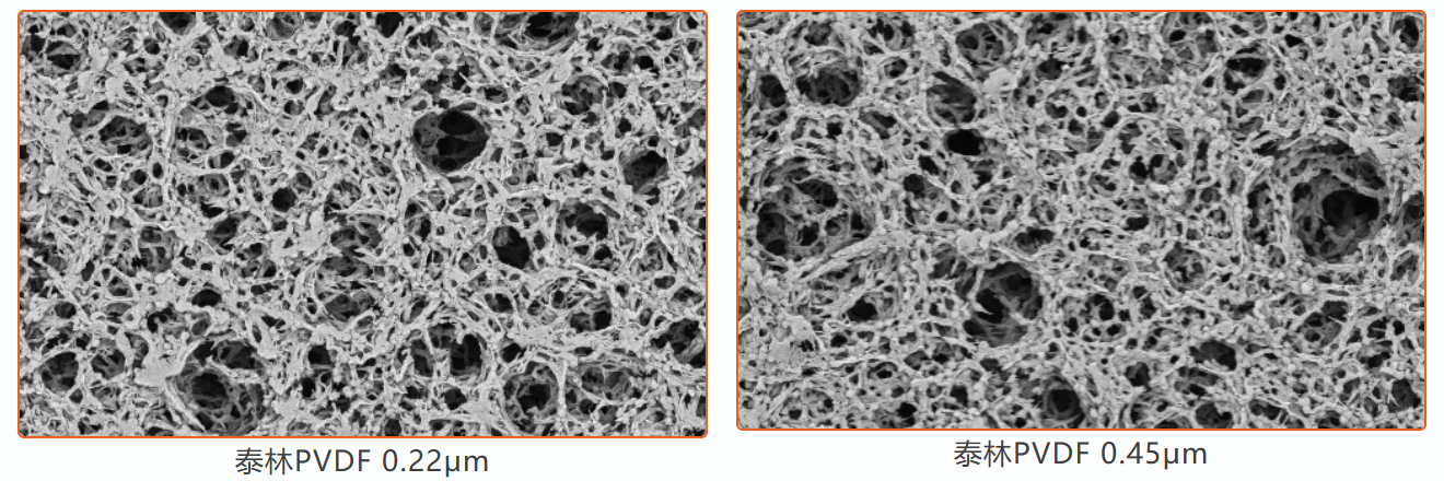 1772605236601622TAXH.png 图片3.png