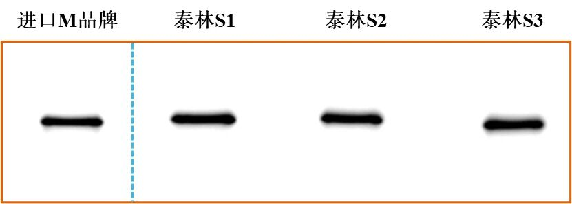 17726052816857748kt3.png 图片7.png