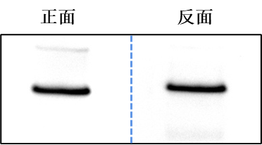 1772605291819701K94N.png 图片8.png