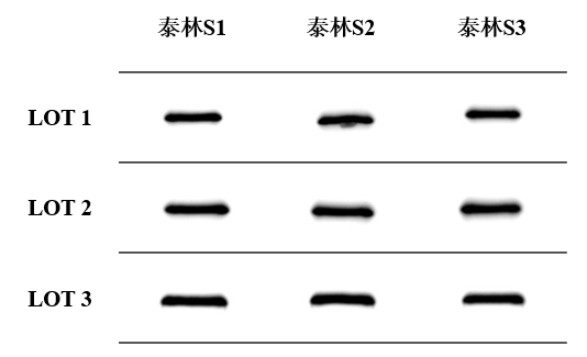 1772605300537349i9y8.png 图片9.png