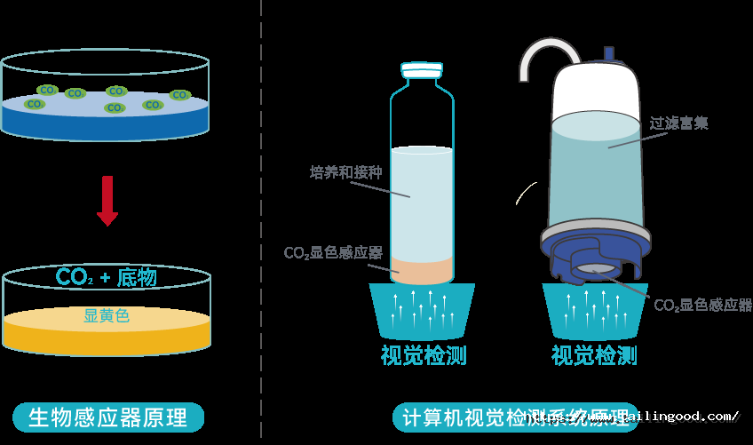 1787621575175128vTr8.png 图片2.png